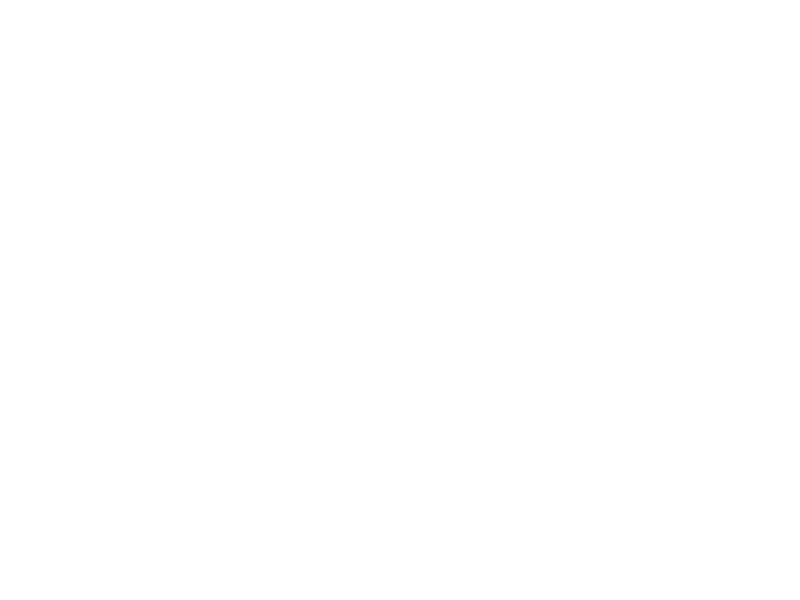 Ortega y Gasset 100