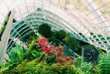 Biophilia in offices