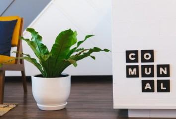 Employer branding, estrategias para velar por la felicidad de los empleados