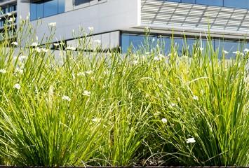 How to choose your office furniture