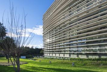 La oficina del mes en Colonial: Ramírez Arellano, 37