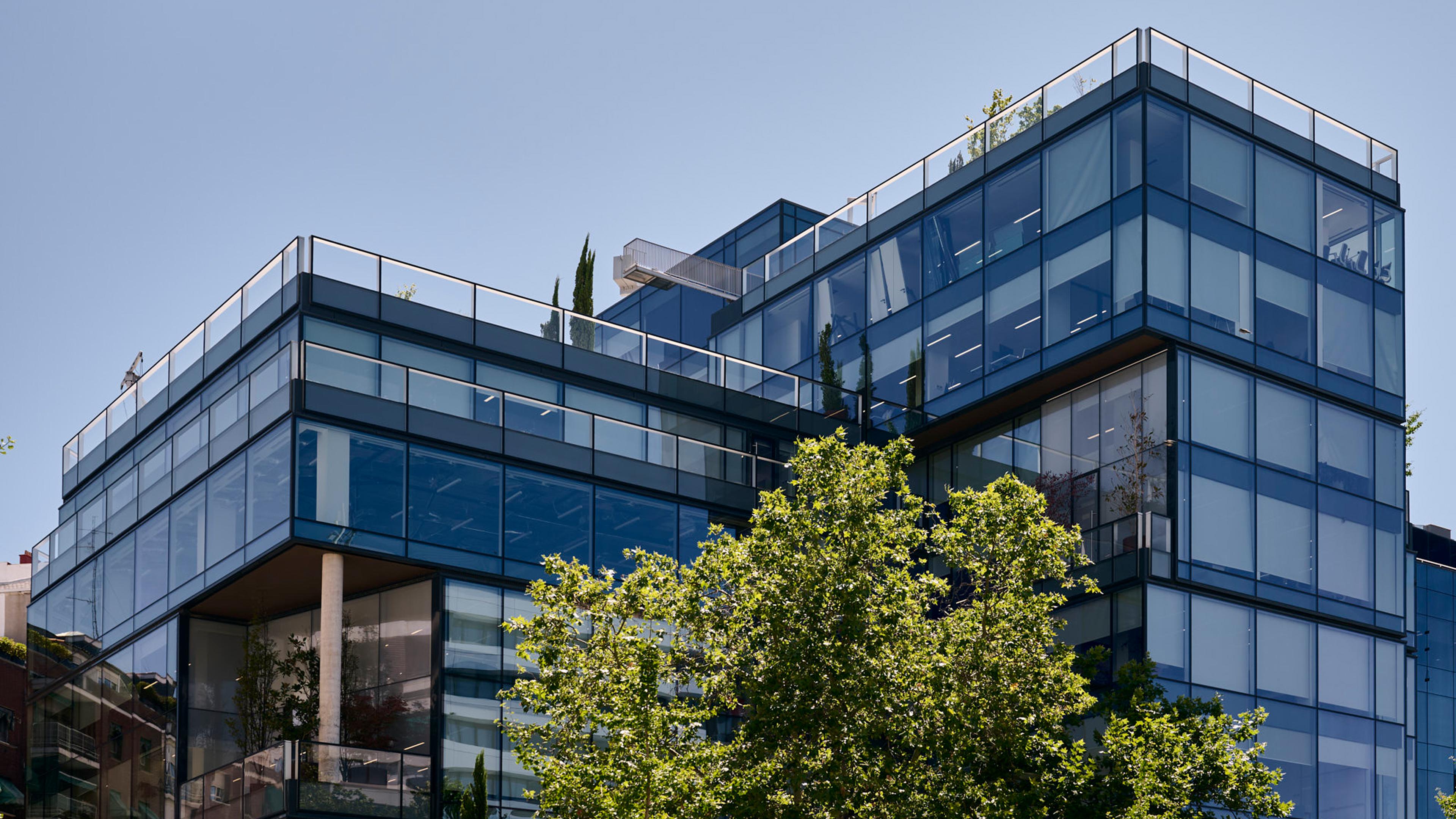 The Window Building