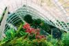 Biofilia en las oficinas