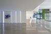  Jardins verticals, cascades, arbres i flors: una oficina salvatge