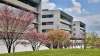 Zero Carbon Footprint in Buildings: Strategies to Achieve It